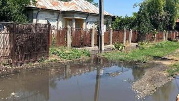 Control al Gărzii de Mediu într-o localitate din Buzău, unde locuitorii au sesizat evacuarea necorespunzătoare a apelor uzate şi a dejecţiilor pe domeniul public / Staţia de epurare nu este funcţională
