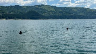 Neamţ: A treia zi de căutări, fără rezultat, în cazul unui bărbat care a căzut dintr-o barcă în lacul Izvorul Muntelui