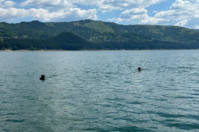 Neamţ: A patra zi de căutări, fără succes, în cazul bărbatului căzut din barcă în lacul Izvorul Muntelui