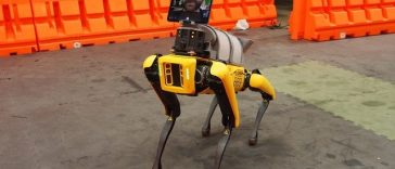 Hyundai vrea să cumpere participaţia SoftBank în Boston Dynamics, pentru 325 de milioane de dolari