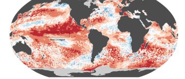 Copernicus: Luna mai 2026 a fost a doua cea mai caldă lună înregistrată vreodată la nivel global, atât pe uscat, cât şi pe mare / Europa de Vest s-a confruntat cu un val de căldură neobişnuit de timpuriu şi intens, în a doua jumătate a lunii