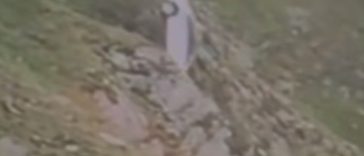 O maşină parcată pe Transfăgărăşan, dar care nu a fost asigurată, a căzut în gol / Momentul, surprins în imagini – VIDEO
