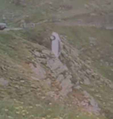 O maşină parcată pe Transfăgărăşan, dar care nu a fost asigurată, a căzut în gol / Momentul, surprins în imagini – VIDEO