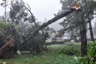 DSU: Opt județe afectate de furtuni – inundații în gospodării, copaci prăbușiți și mașini avariate