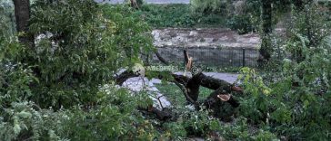 Furtuni în țară/ 36 de localități din 18 județe și Capitala, afectate; 144 de copaci prăbușiți, 26 de autoturisme avariate