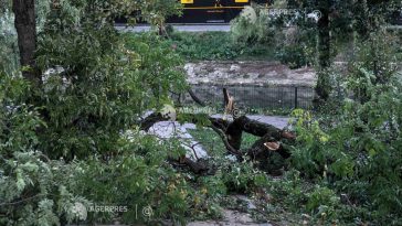 Furtuni în țară/ 36 de localități din 18 județe și Capitala, afectate; 144 de copaci prăbușiți, 26 de autoturisme avariate
