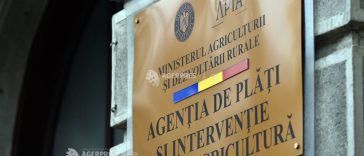APIA plătește peste 2,9 milioane de lei pentru crescătorii de animale