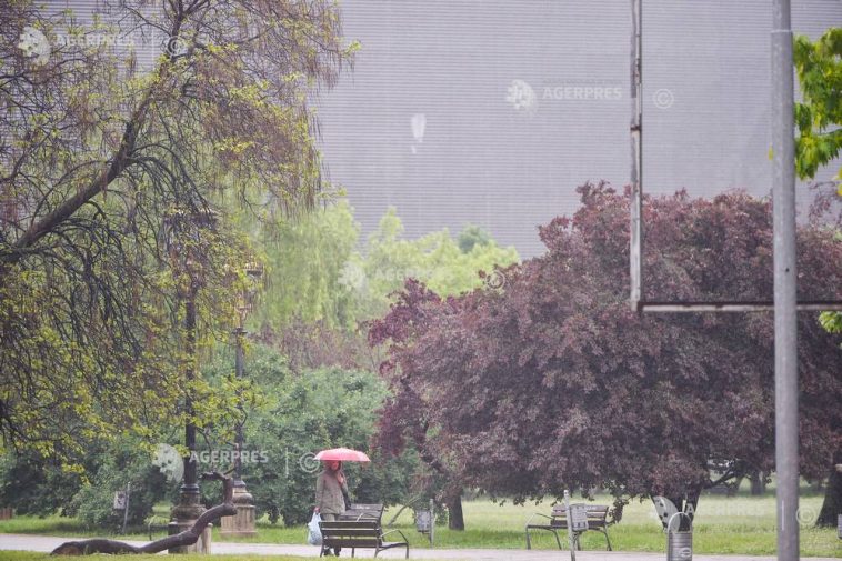 Cod galben de ploi, vineri, în București și alte 12 județe