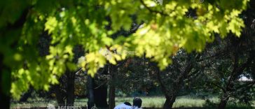 ANM: Vreme caniculară în cea mai mare parte a țării, miercuri și joi