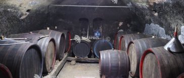 Președintele solicită reexaminarea modificărilor la Codul fiscal privind scutirea de accize a băuturilor produse în gospodării