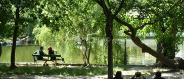 Informare meteo de vreme călduroasă în toată țara până miercuri seara; Cod galben de caniculă în 12 județe, luni