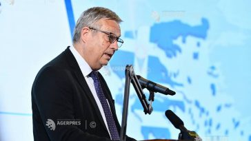 Stocklosa: Internaționalizarea poate reprezenta o oportunitate reală și pentru IMM-uri, nu doar pentru marile companii