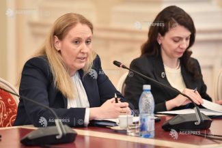 Senat/ Comisii: Audieri pentru conducerea ICR; Corina Încrosnatu, aviz pozitiv pentru funcția de președinte