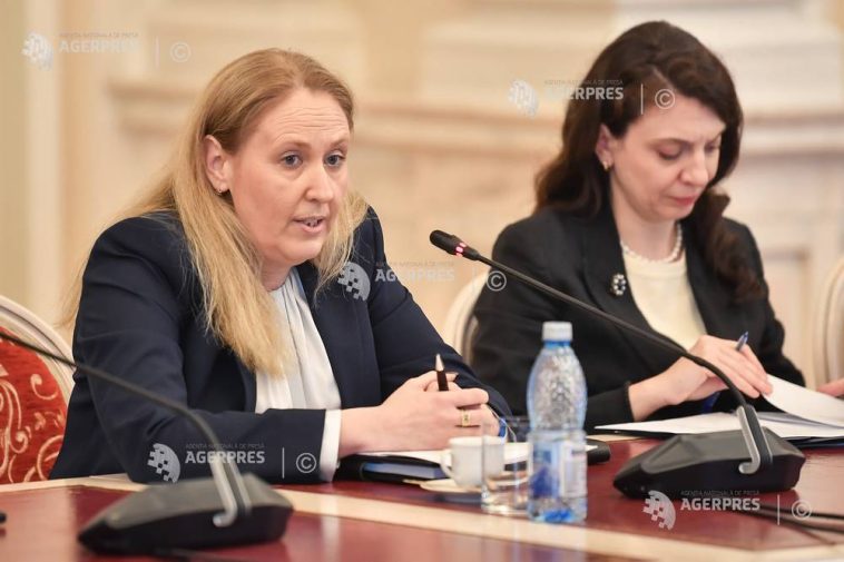 Senat/ Comisii: Audieri pentru conducerea ICR; Corina Încrosnatu, aviz pozitiv pentru funcția de președinte