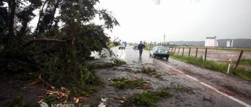 UPDATE IPJ Ilfov: Bãrbatul decedat la Găneasa era pasager într-o autoutilitară; şoferul a primit îngrijiri medicale
