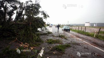 UPDATE IPJ Ilfov: Bãrbatul decedat la Găneasa era pasager într-o autoutilitară; şoferul a primit îngrijiri medicale