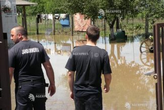 Hunedoara: Gospodării inundate și copaci doborâți la pământ în urma vijeliilor