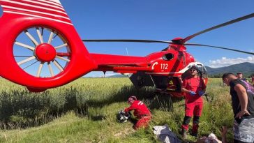Braşov: Bărbat, atacat de un urs, pe drumul dintre localităţile Mărgineni şi Bucium/ El a fost rănit la scalp şi abdomen, fiind preluat de un elicopter SMURD