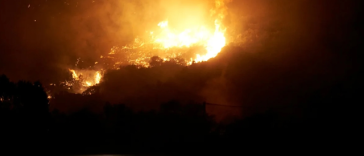 Grecia a mobilizat pompieri, avioane şi elicoptere pentru a combate un incendiu de vegetaţie pe insula Evia
