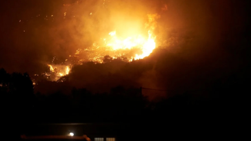 Grecia a mobilizat pompieri, avioane şi elicoptere pentru a combate un incendiu de vegetaţie pe insula Evia