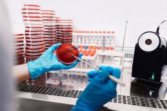 Încălzirea globală accelerează rezistenţa la antibiotice, indică un studiu internaţional