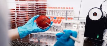 Încălzirea globală accelerează rezistenţa la antibiotice, indică un studiu internaţional