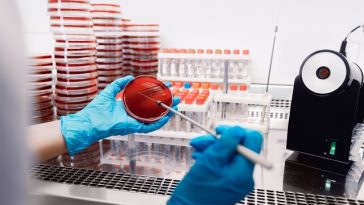 Încălzirea globală accelerează rezistenţa la antibiotice, indică un studiu internaţional
