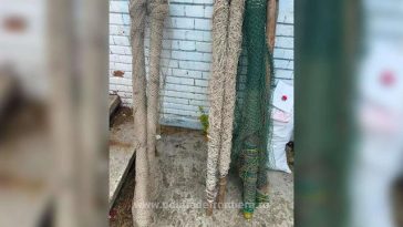 Instrumente de pescuit în valoare de zeci de mii de lei, ridicate de poliţiştii de frontieră într-un dosar care vizează acte de braconaj piscicol – FOTO