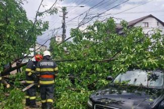 Capitala şi zeci de localităţi din 15 judeţe, afectate de ploile şi vijeliile din ultimele 24 de ore/ Pompierii au intervenit pentru scoaterea apei din case şi curţi inundate şi pentru îndepărtarea unor copaci căzuţi pe şosele – FOTO