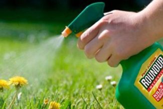 Curtea Supremă a SUA limitează procesele împotriva Bayer privind erbicidul Roundup; Acţiunile Bayer au urcat cu 16%