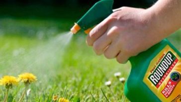 Curtea Supremă a SUA limitează procesele împotriva Bayer privind erbicidul Roundup; Acţiunile Bayer au urcat cu 16%