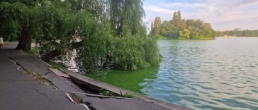 Primăria Capitalei anunţă că marţi începe golirea Lacului Herăstrău/ Ulterior, se va interveni pentru curăţarea cuvei şi consolidarea malurilor, care se surpă
