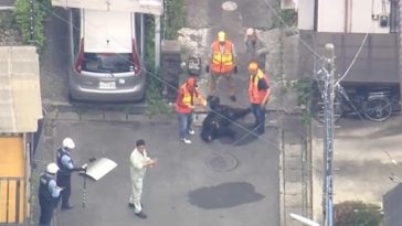 Ursul care rătăcea în oraşul Utsunomiya, în Japonia, de patru zile, capturat. Alt urs, care a rănit patru persoane, săptămâna trecută, în departamentul Fukushima, căutat în continuare
