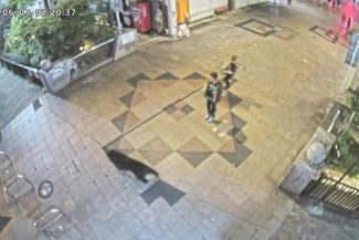 Aproape 100 de şcoli închise în Japonia, după mai multe semnalări ale unor urşi începând din weekend. Zeci de vânători, poliţişti şi oficiali locali caută animalul