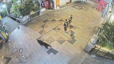 Aproape 100 de şcoli închise în Japonia, după mai multe semnalări ale unor urşi începând din weekend. Zeci de vânători, poliţişti şi oficiali locali caută animalul