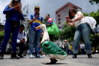 Cupa Mondială 2026: Raţa devenită mascota Mexicului a fost primită de preşedinta Claudia Sheinbaum
