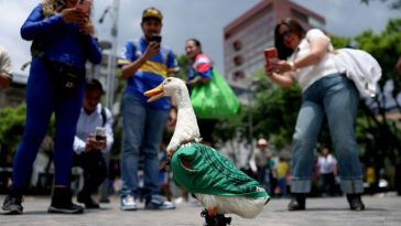Cupa Mondială 2026: Raţa devenită mascota Mexicului a fost primită de preşedinta Claudia Sheinbaum