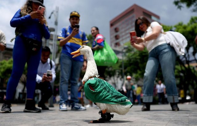 Cupa Mondială 2026: Raţa devenită mascota Mexicului a fost primită de preşedinta Claudia Sheinbaum