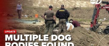 117 câini morţi găsiţi la un centru de salvare a animalelor din California – mulţi dintre ei cu răni prin împuşcare