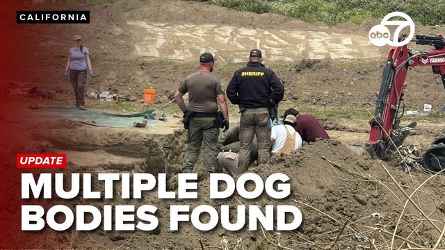 117 câini morţi găsiţi la un centru de salvare a animalelor din California – mulţi dintre ei cu răni prin împuşcare