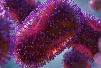 Doi cercetători au fost puşi sub acuzare de justiţia americană pentru că au încercat să introducă în SUA virusul mpox inactivat adus din Africa