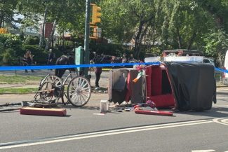 Un tânăr de 18 ani moare la New York, într-un accident de caleaşcă în Central Park. Mamdani vrea să pună capăt acestei atracţii turistice pentru ”binele cailor”
