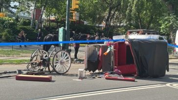 Un tânăr de 18 ani moare la New York, într-un accident de caleaşcă în Central Park. Mamdani vrea să pună capăt acestei atracţii turistice pentru ”binele cailor”