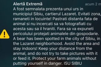 Un urs a fost văzut într-un cartier din municipiul Sibiu/ A fost emis mesaj RO-Alert