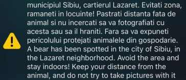 Un urs a fost văzut într-un cartier din municipiul Sibiu/ A fost emis mesaj RO-Alert
