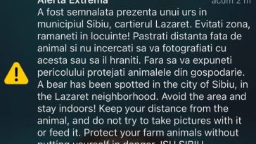 Un urs a fost văzut într-un cartier din municipiul Sibiu/ A fost emis mesaj RO-Alert