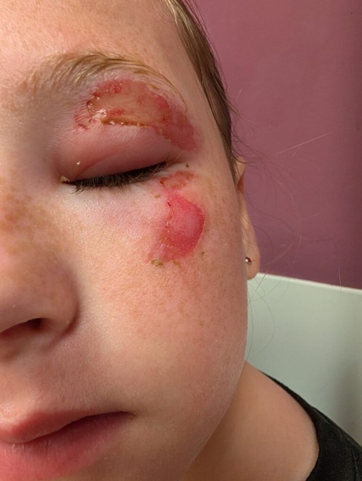 Avertisment privind „arsuri grave” după ce copiii au încălzit jucării moi în cuptorul cu microunde/ VIDEO