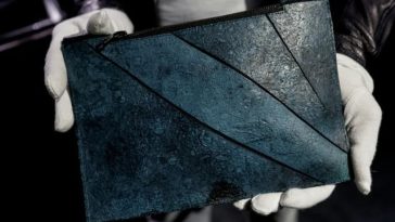 O geantă de piele de T-Rex, reconstituită din celule, nu a putut să fie vândută la licitaţie la Paris