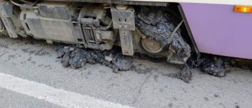 Canicula a afectat transportul public din Timişoara/ Restricţii în circulaţia tramvaielor, până miercuri