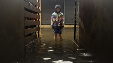 UNICEF: Aproape jumătate dintre copiii din lume sunt expuşi la cel puţin trei ameninţări climatice care se suprapun / Care este cea mai frecventă combinaţie de pericole / Poluarea aerului afectează aproape toţi copiii la nivel mondial